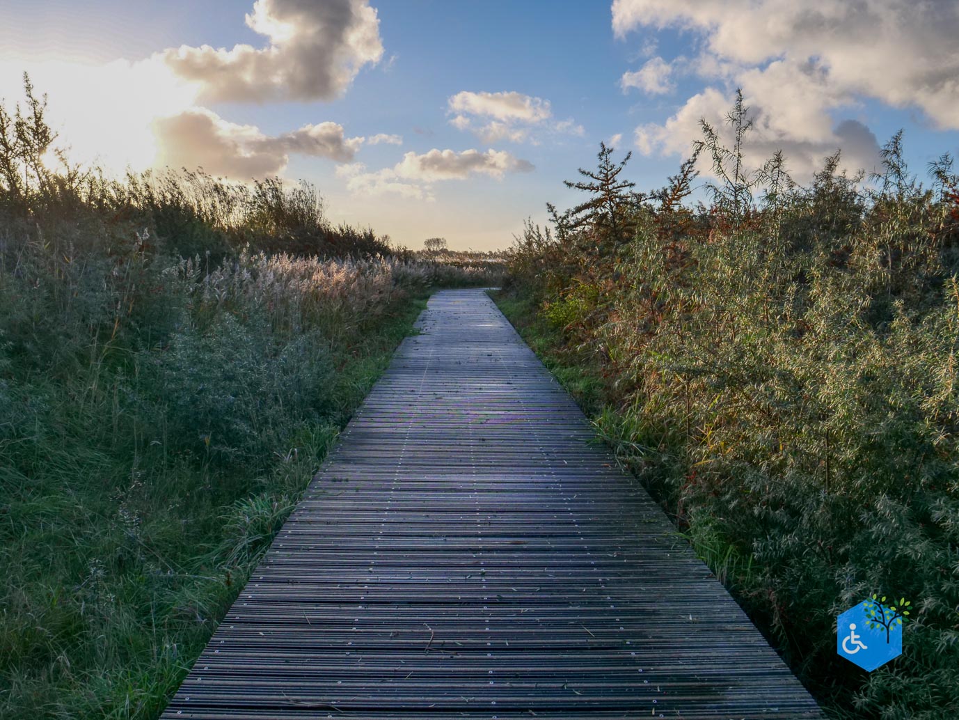 Breskens_Waterdunen_24-10-2025-067