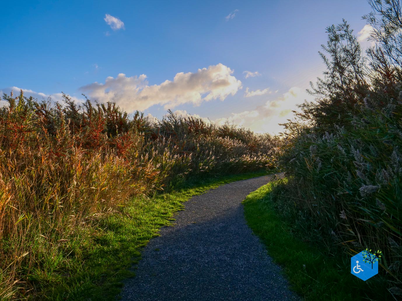 Breskens_Waterdunen_24-10-2025-069