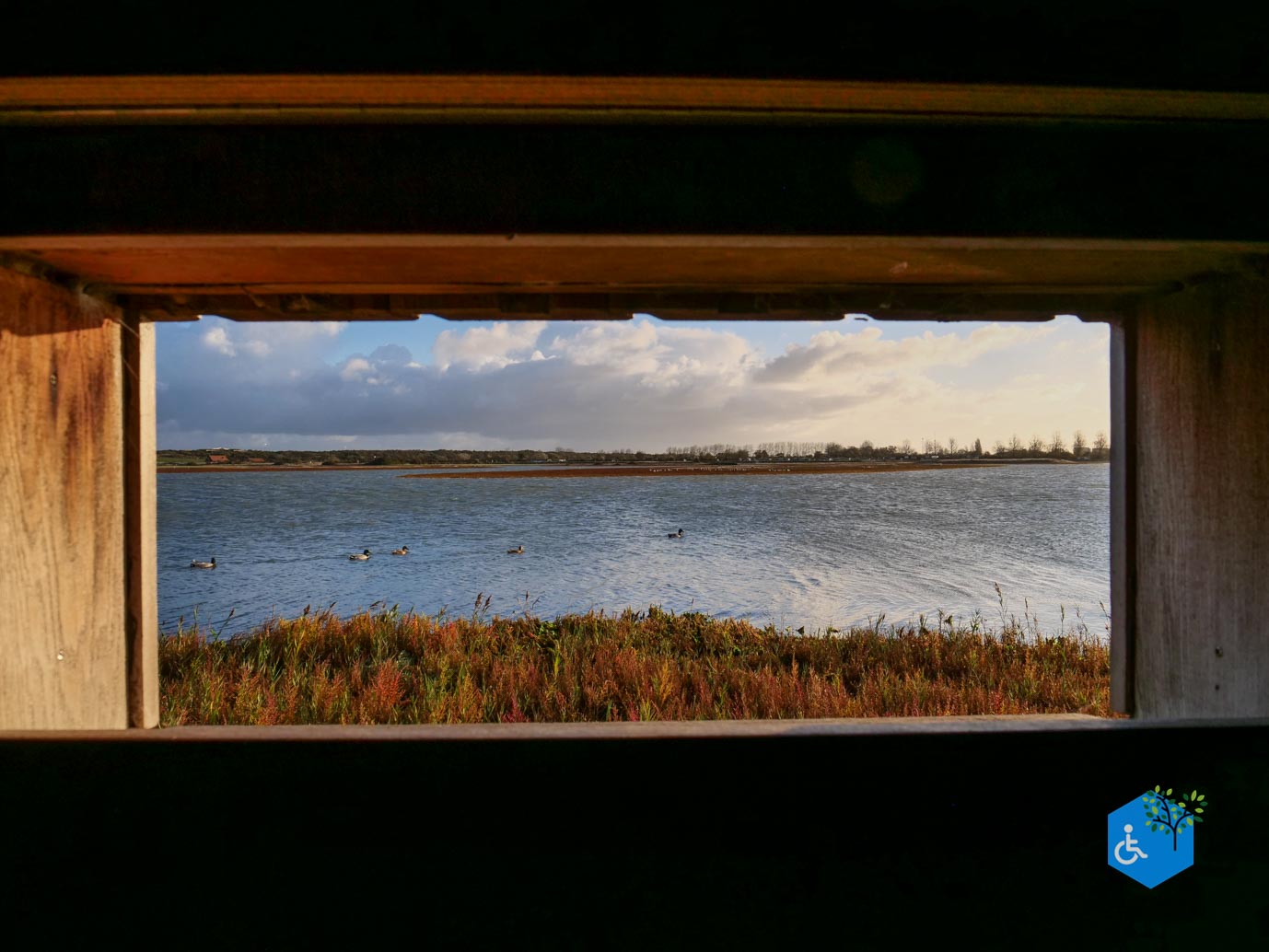 Breskens_Waterdunen_24-10-2025-073