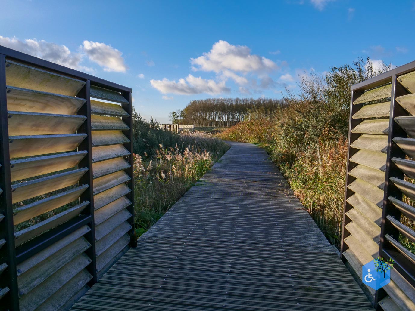 Breskens_Waterdunen_24-10-2025-078