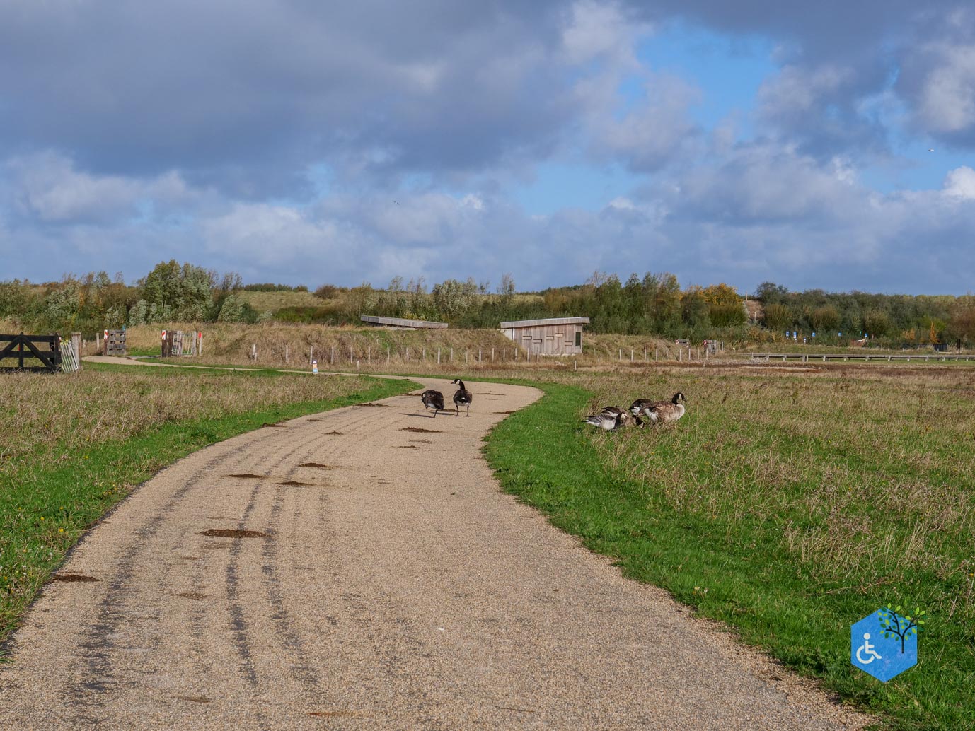 Breskens_Waterdunen_24-10-2025-116