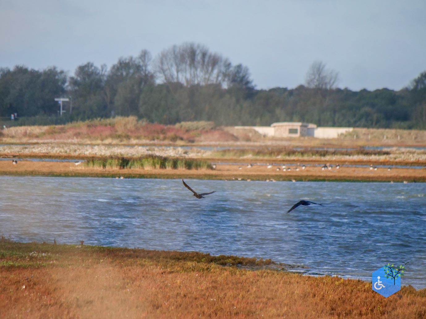 Breskens_Waterdunen_24-10-2025-148