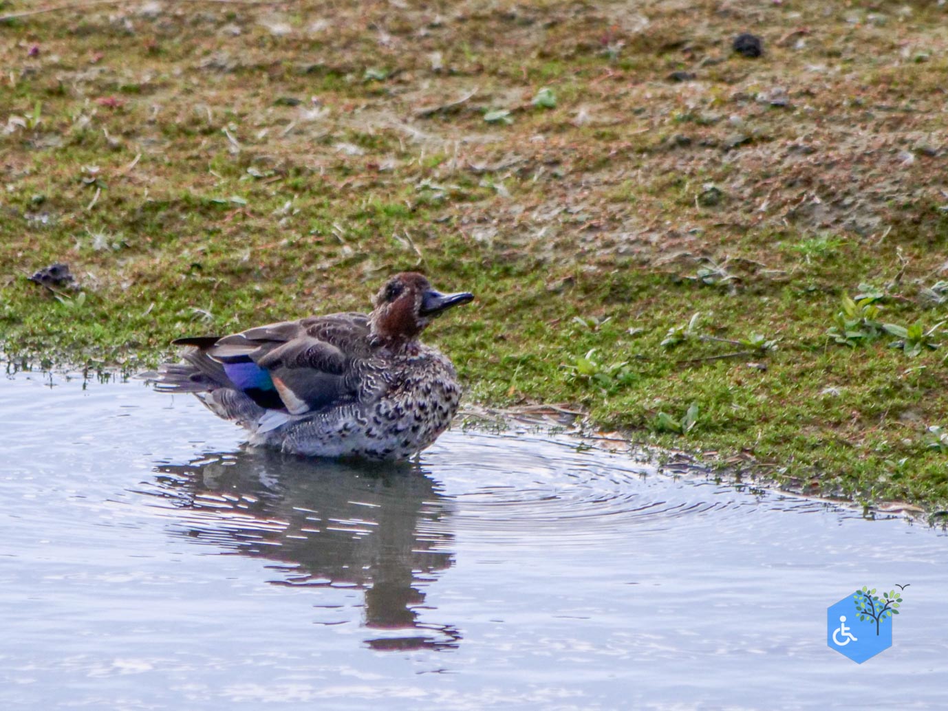 Breskens_Waterdunen_24-10-2025-153