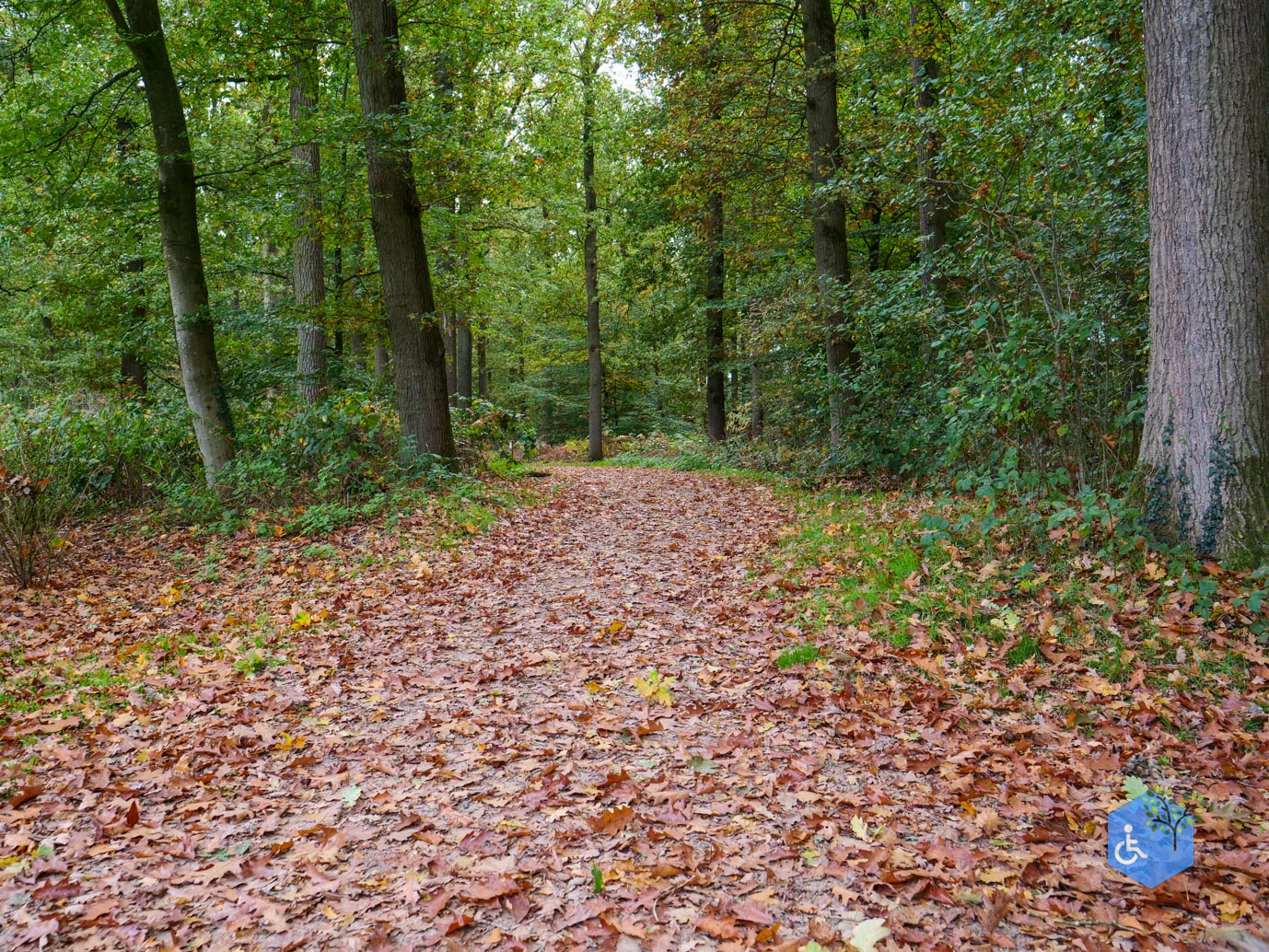 Ermelo_Landgoed_Staverden_17-10-2025-03