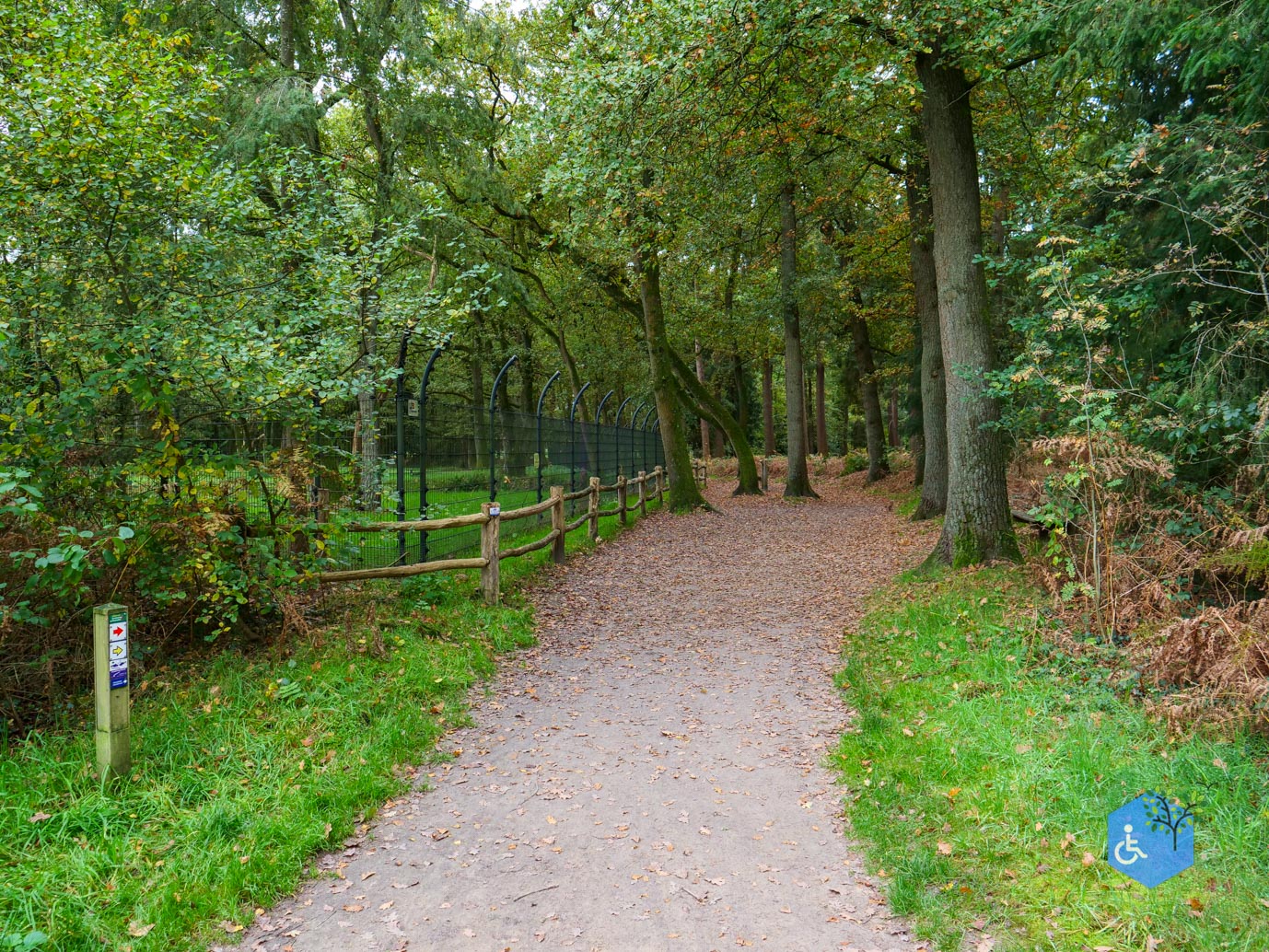 Ermelo_Landgoed_Staverden_17-10-2025-05
