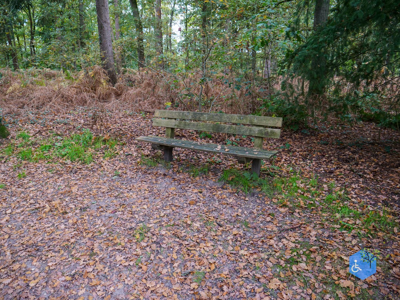 Ermelo_Landgoed_Staverden_17-10-2025-06