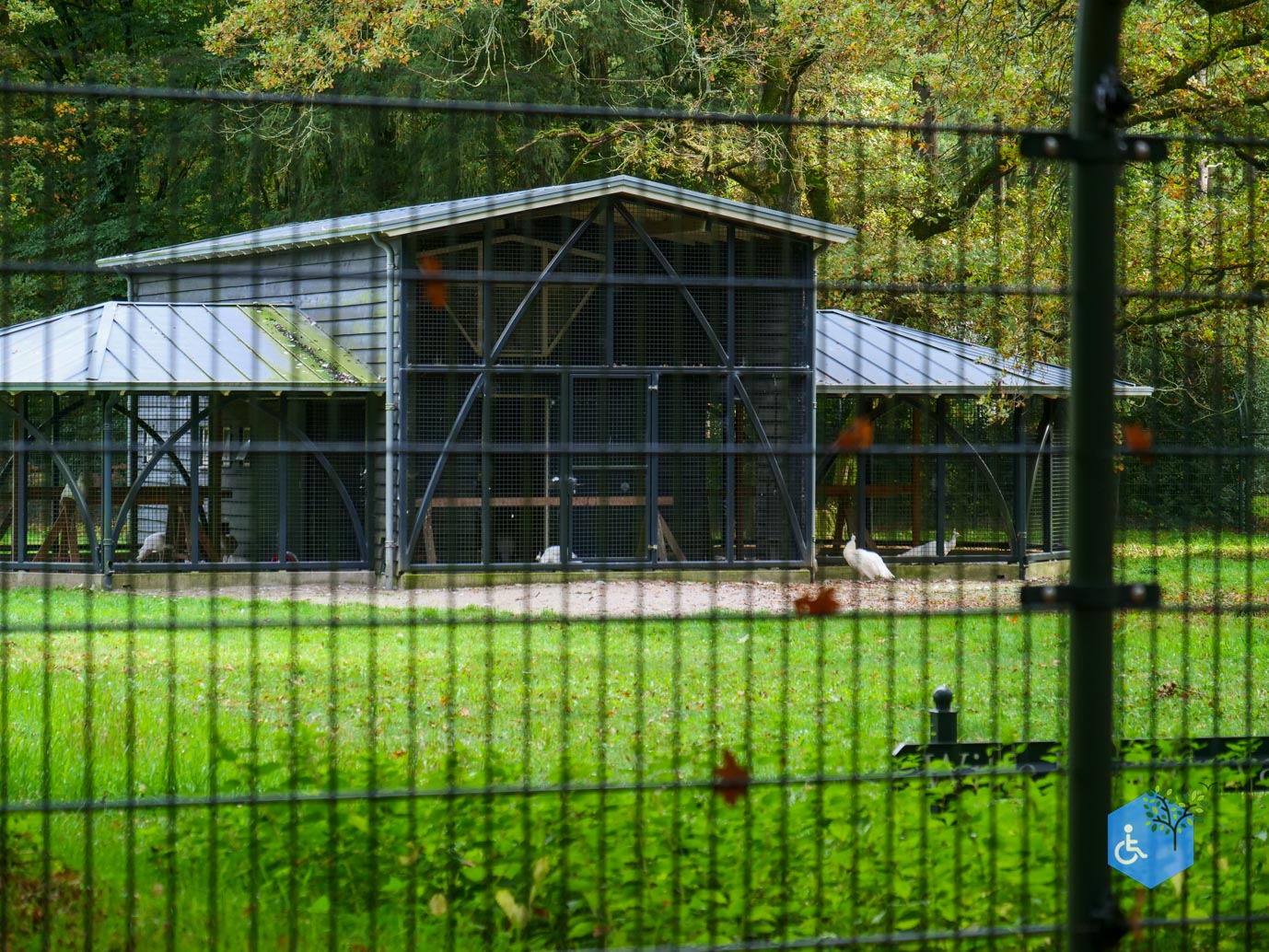 Ermelo_Landgoed_Staverden_17-10-2025-07