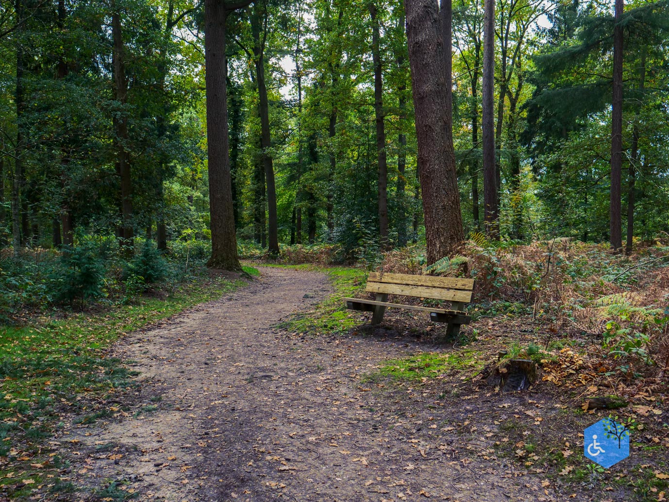 Ermelo_Landgoed_Staverden_17-10-2025-11