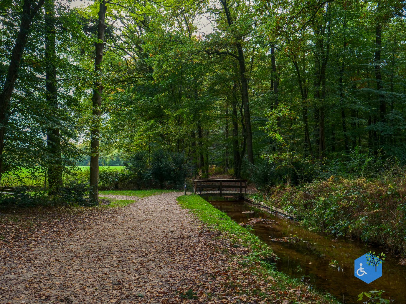 Ermelo_Landgoed_Staverden_17-10-2025-12