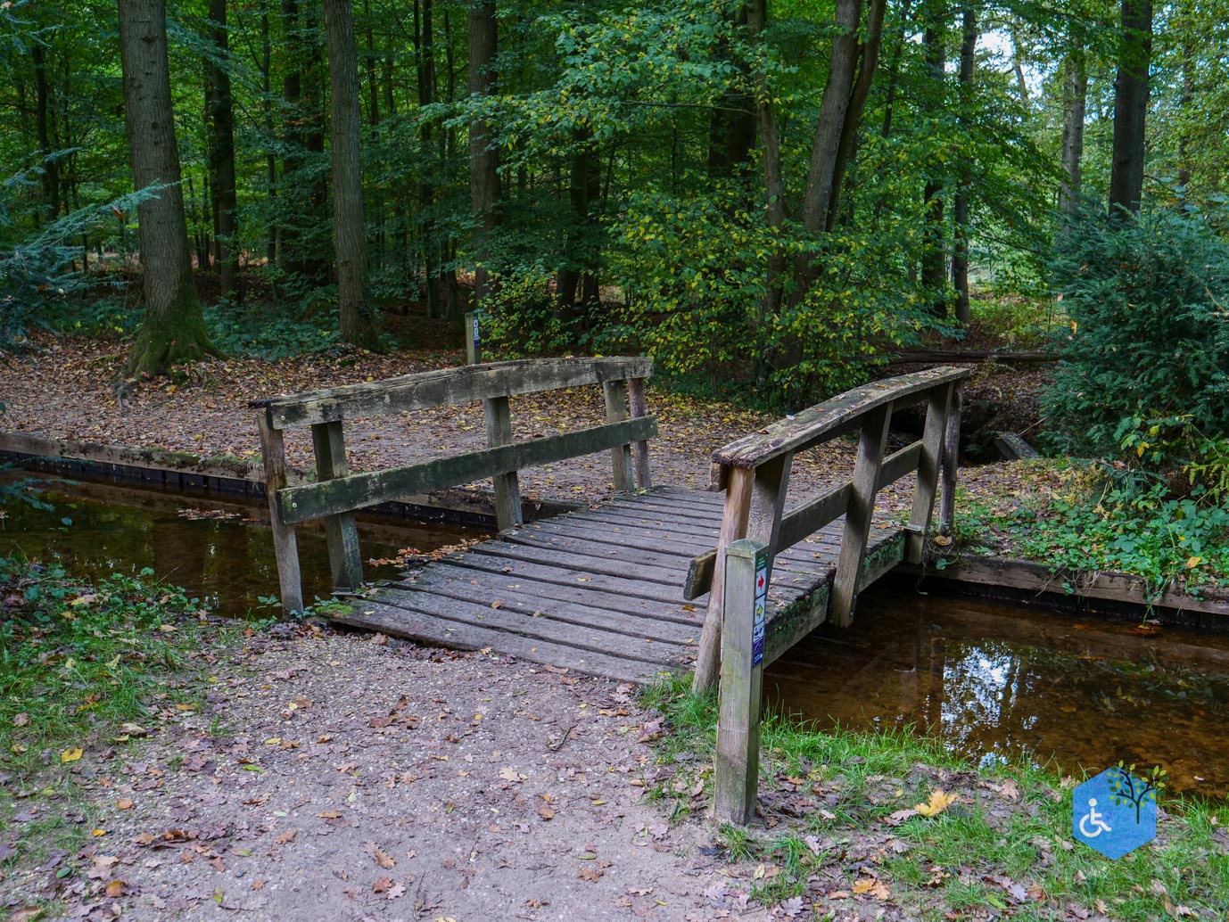 Ermelo_Landgoed_Staverden_17-10-2025-13