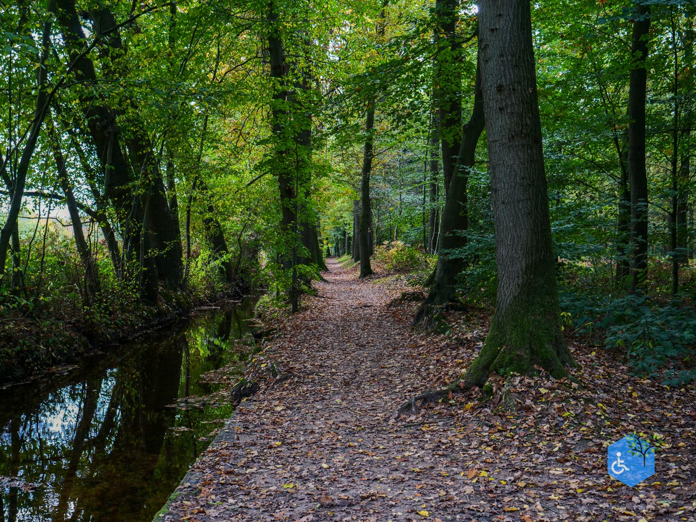 Ermelo_Landgoed_Staverden_17-10-2025-15