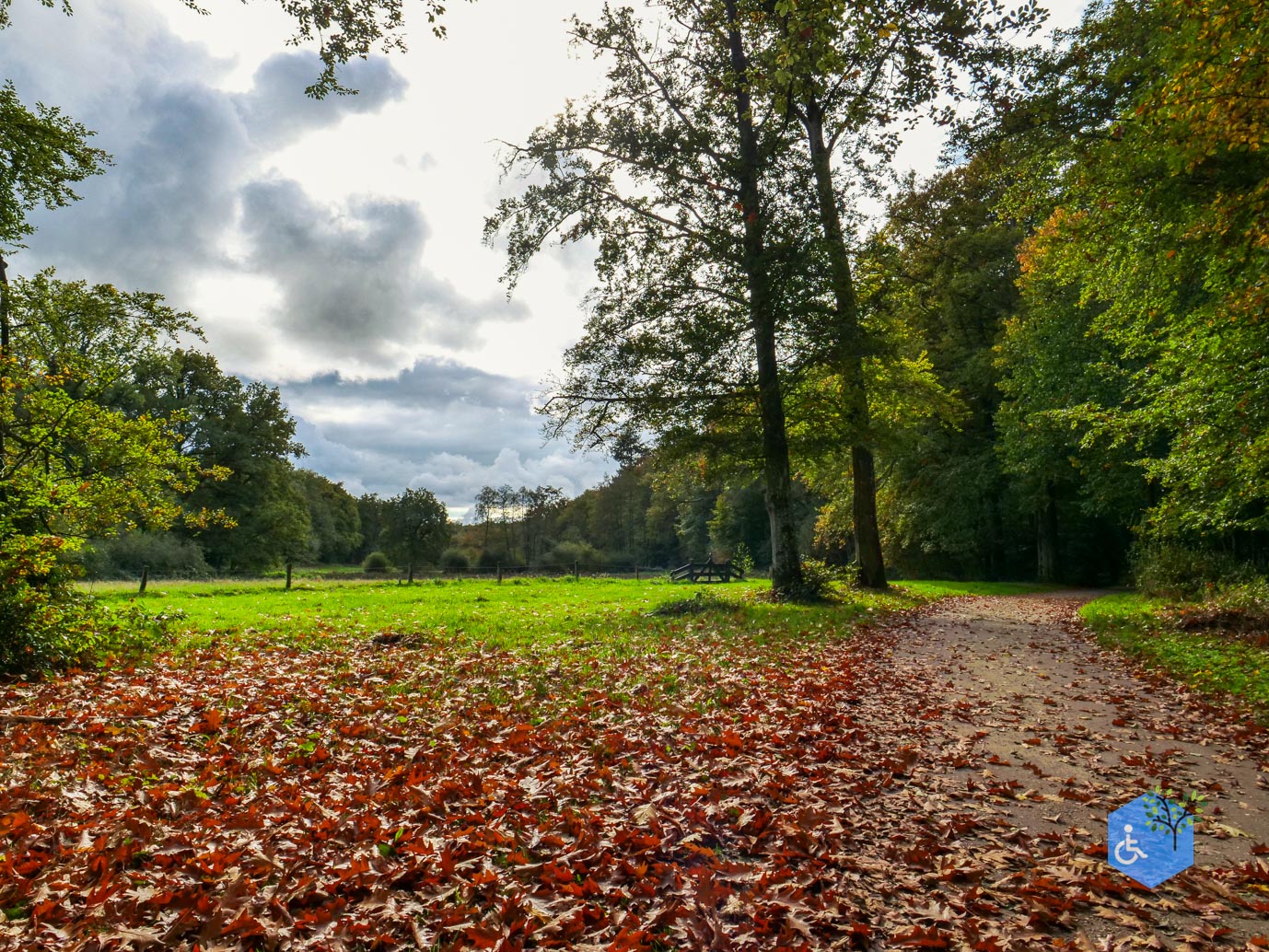 Ermelo_Landgoed_Staverden_17-10-2025-19