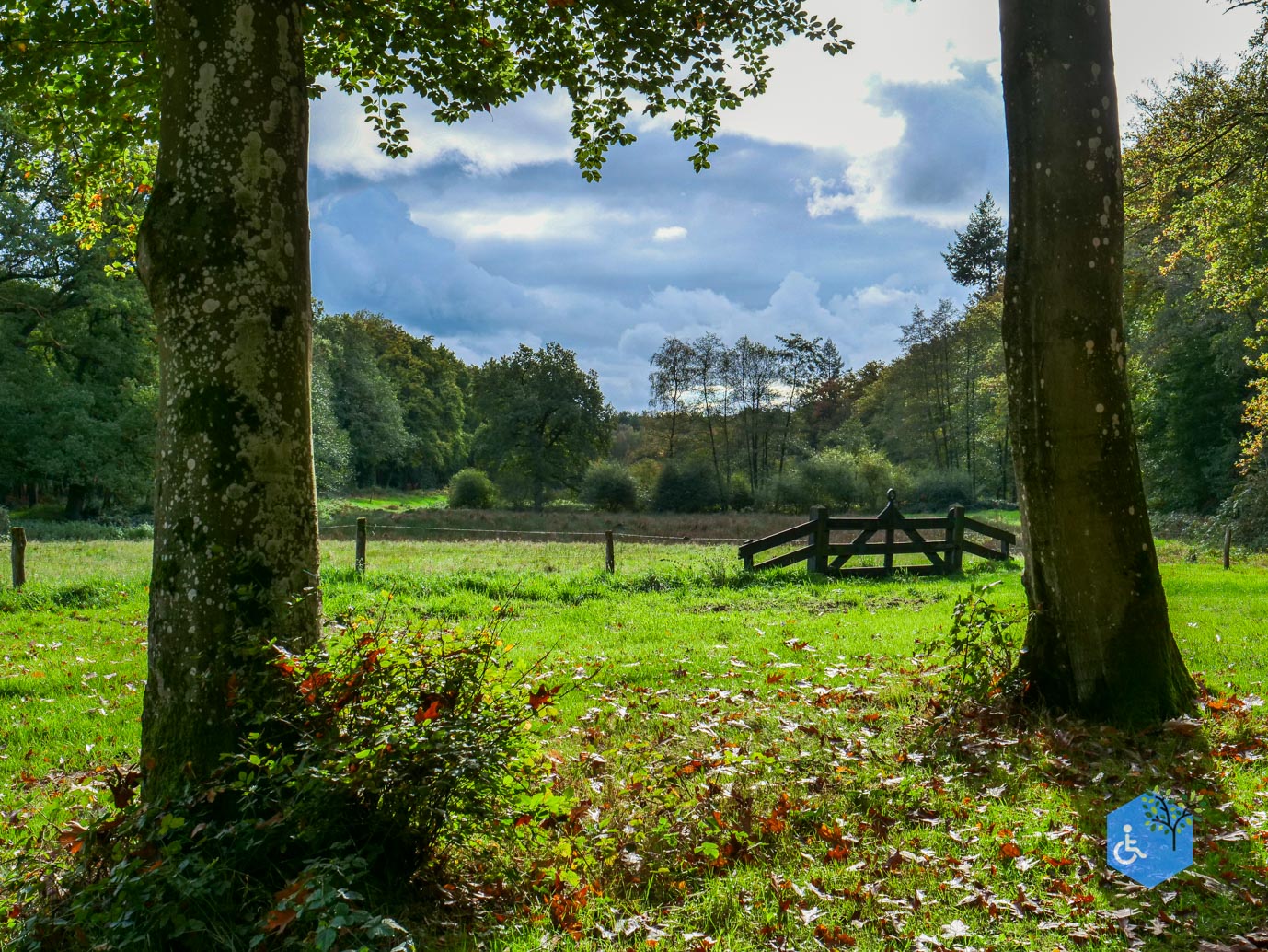 Ermelo_Landgoed_Staverden_17-10-2025-20