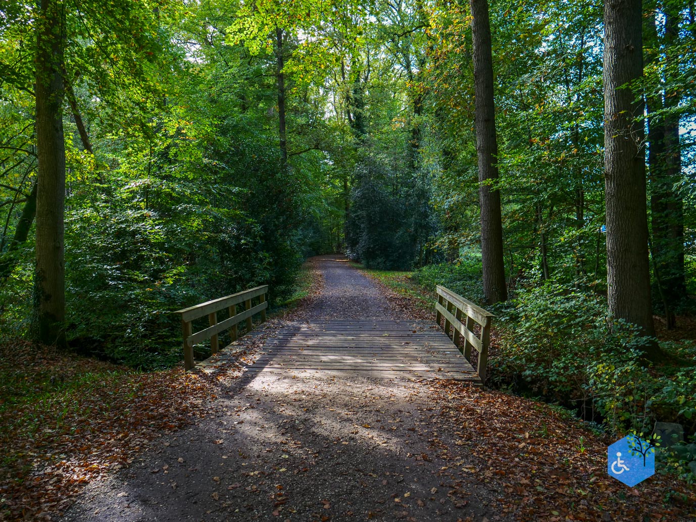 Ermelo_Landgoed_Staverden_17-10-2025-22