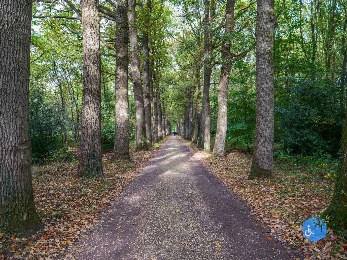 Ermelo_Landgoed_Staverden_17-10-2025-28
