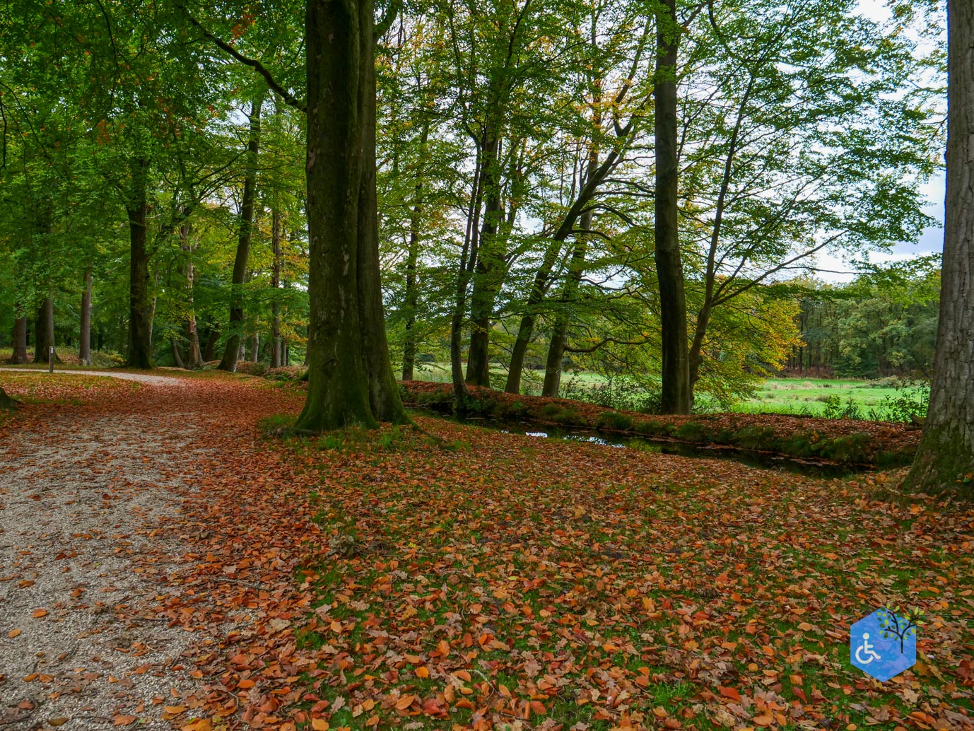 Ermelo_Landgoed_Staverden_17-10-2025-45