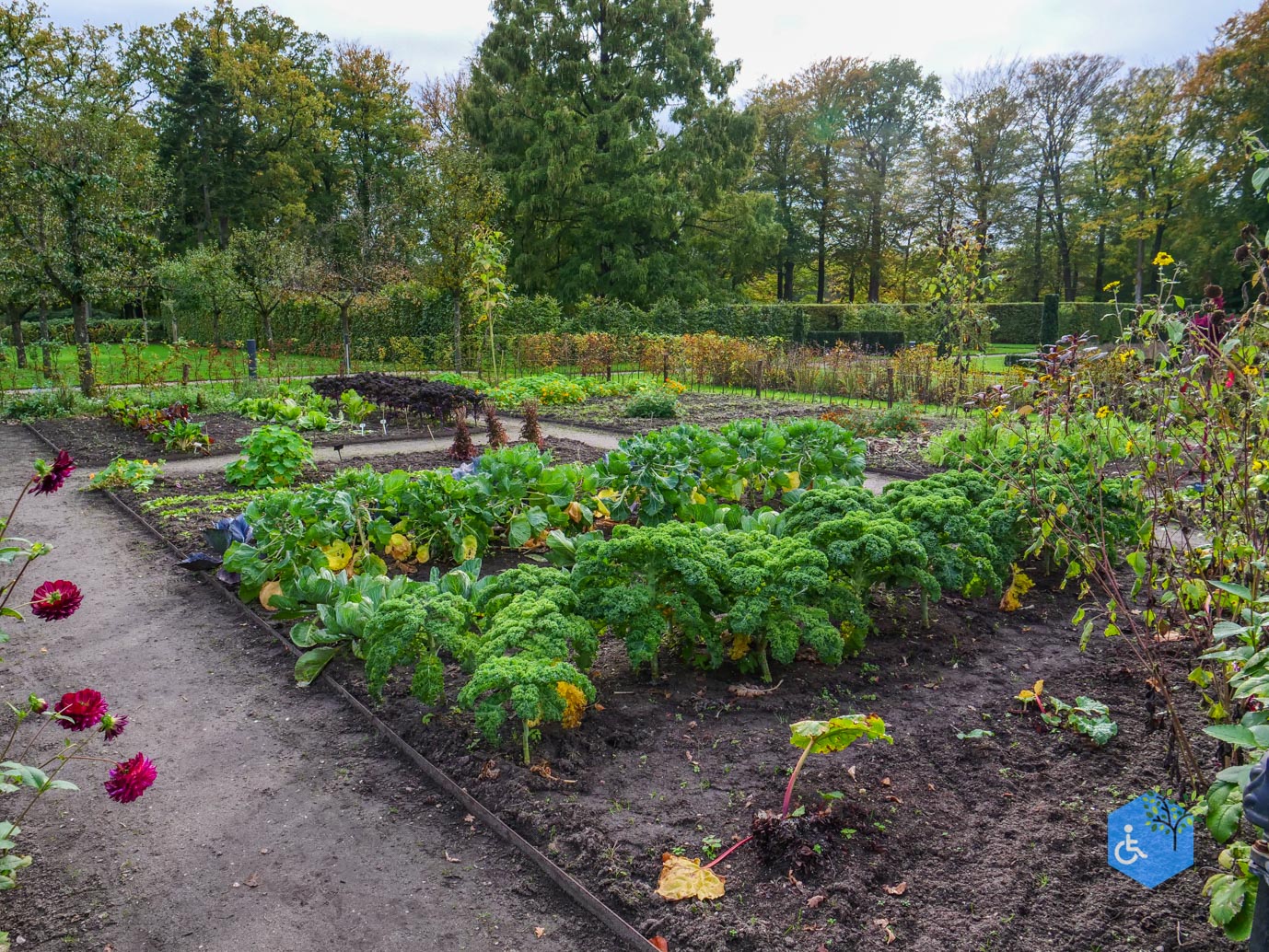 Ermelo_Landgoed_Staverden_17-10-2025-55