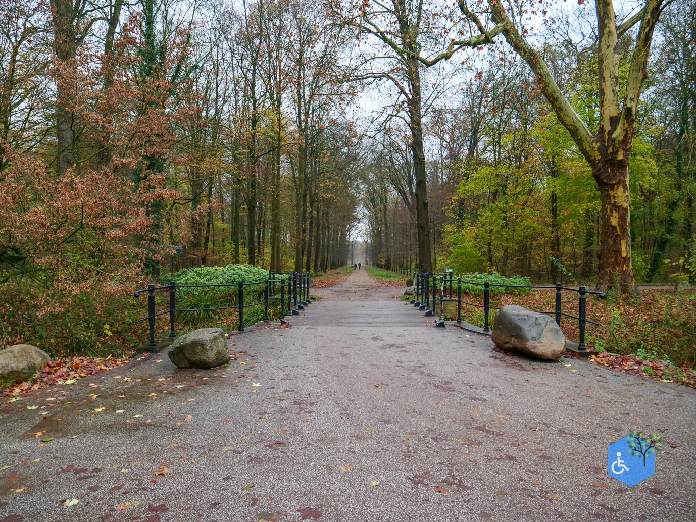 Bunnik_Bomenwandeling_Amelisweerd_28-11-2025-09