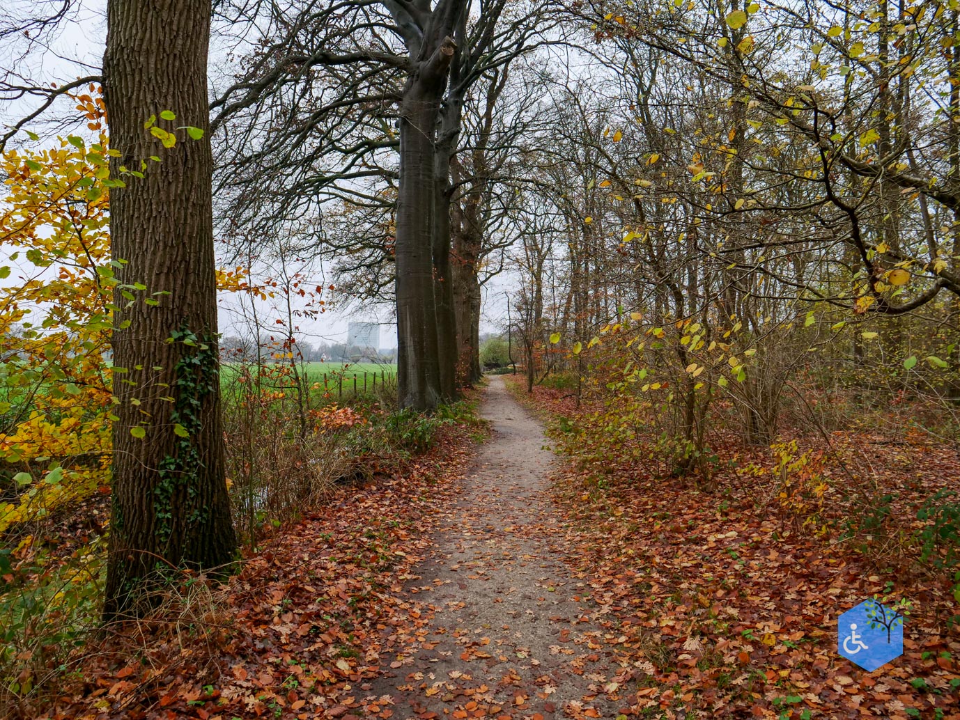 Bunnik_Bomenwandeling_Amelisweerd_28-11-2025-14
