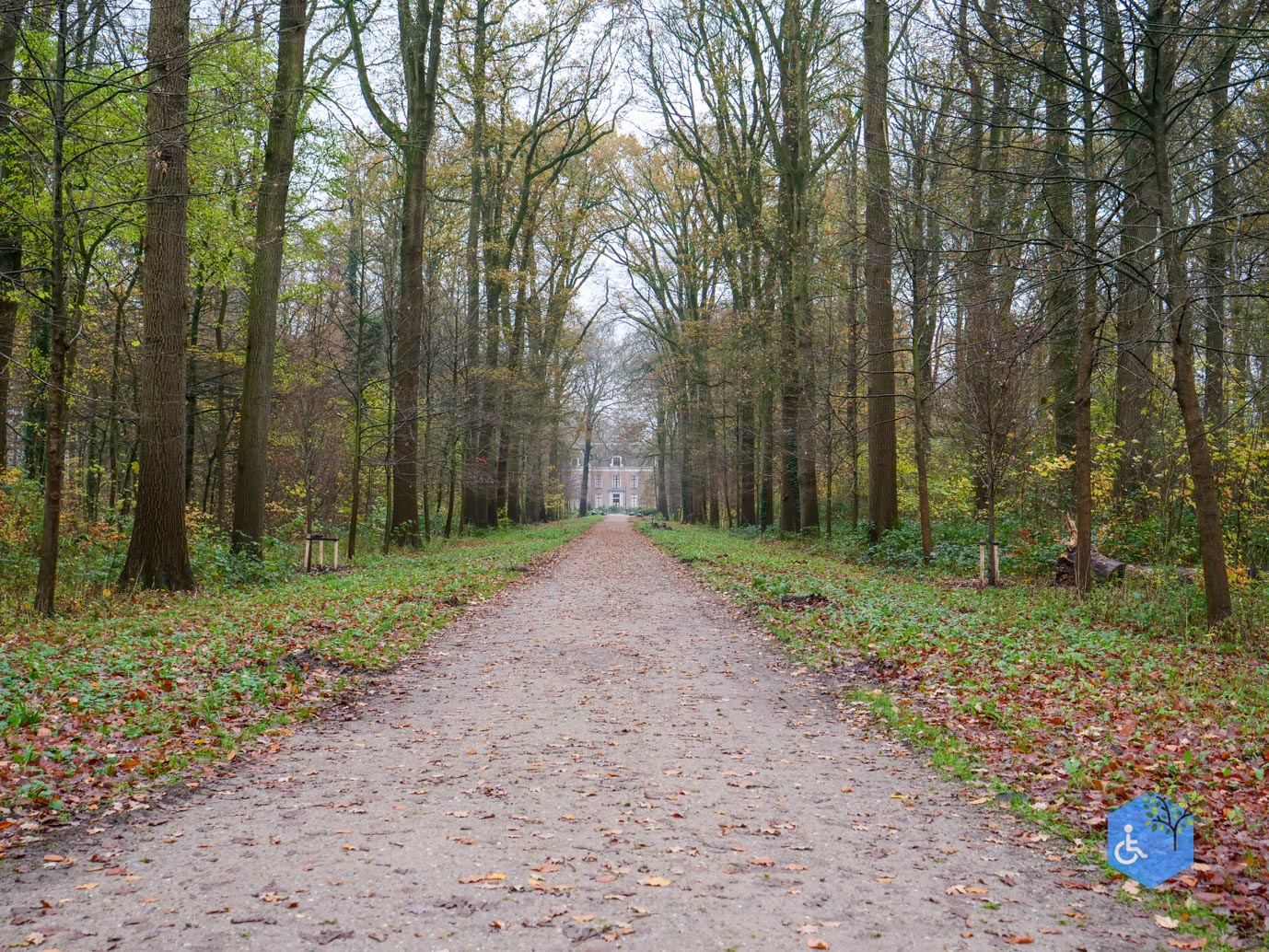 Bunnik_Bomenwandeling_Amelisweerd_28-11-2025-18