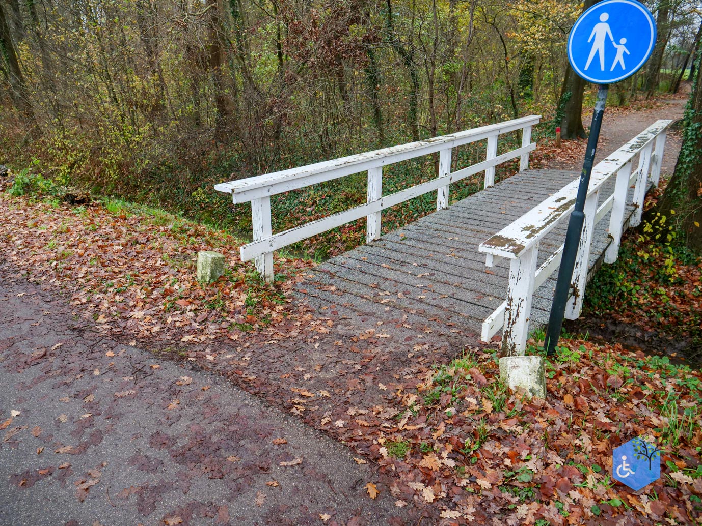 Bunnik_Bomenwandeling_Amelisweerd_28-11-2025-22