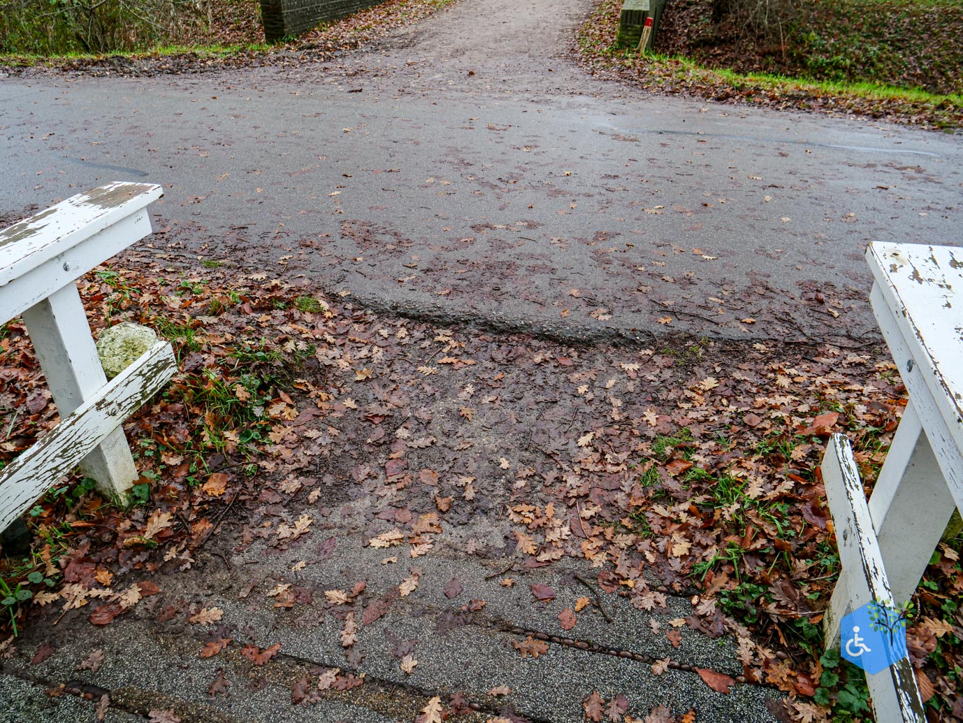 Bunnik_Bomenwandeling_Amelisweerd_28-11-2025-23