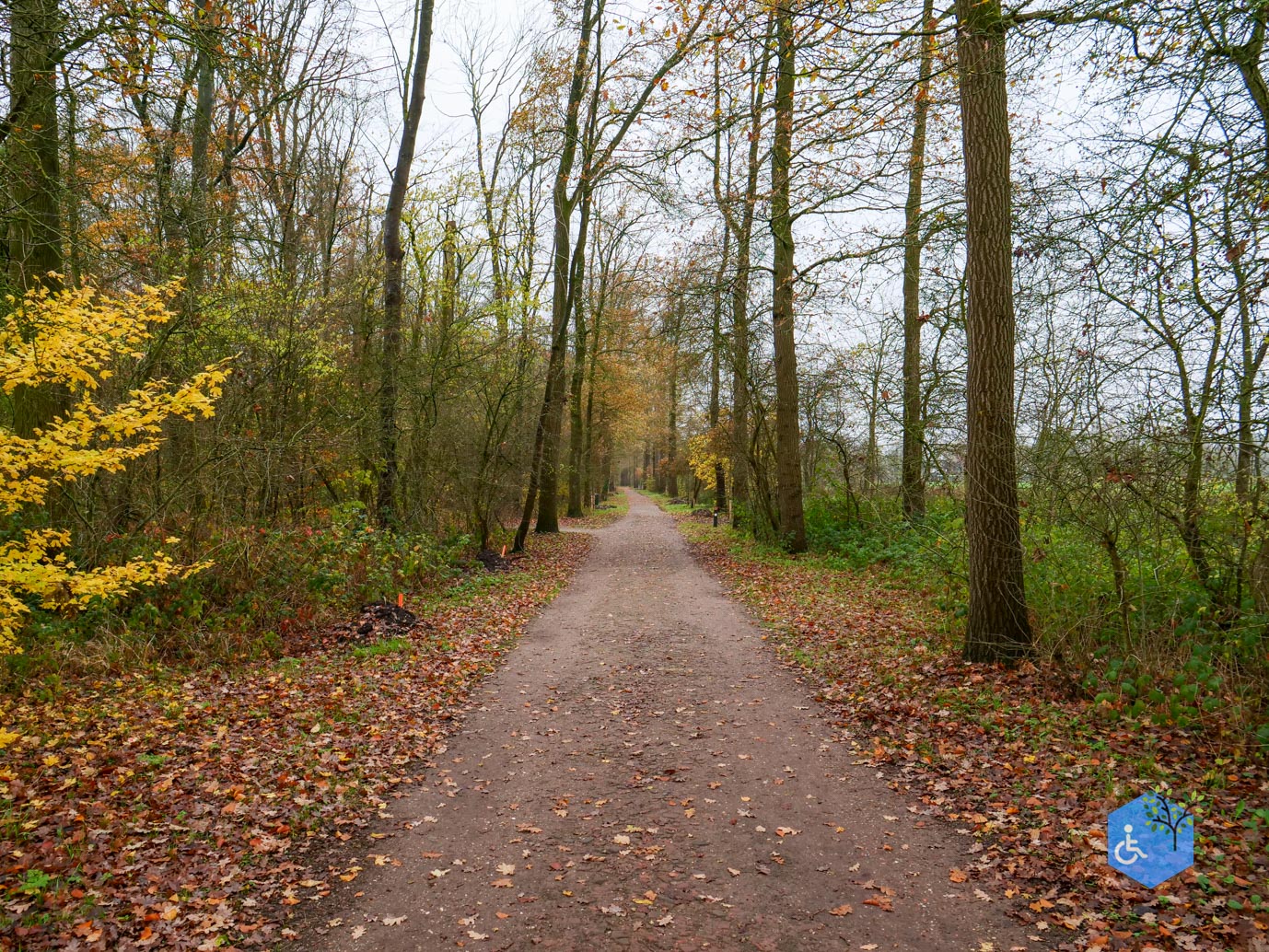 Bunnik_Bomenwandeling_Amelisweerd_28-11-2025-25