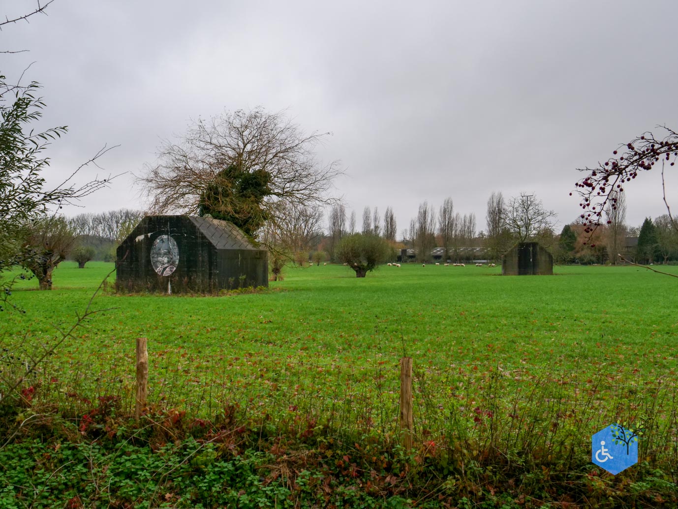 Bunnik_Bomenwandeling_Amelisweerd_28-11-2025-31