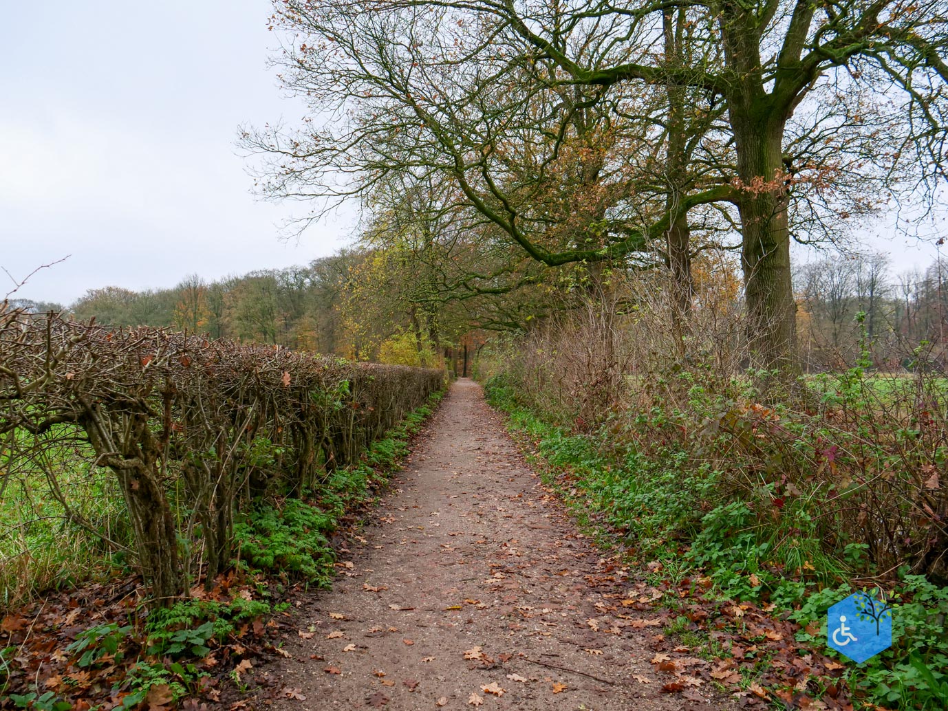 Bunnik_Bomenwandeling_Amelisweerd_28-11-2025-34
