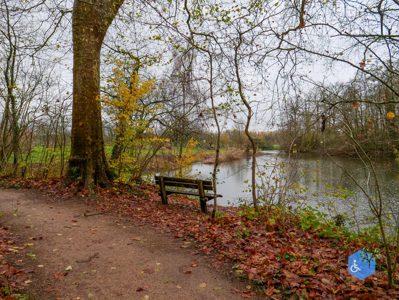Bunnik_Bomenwandeling_Amelisweerd_28-11-2025-38