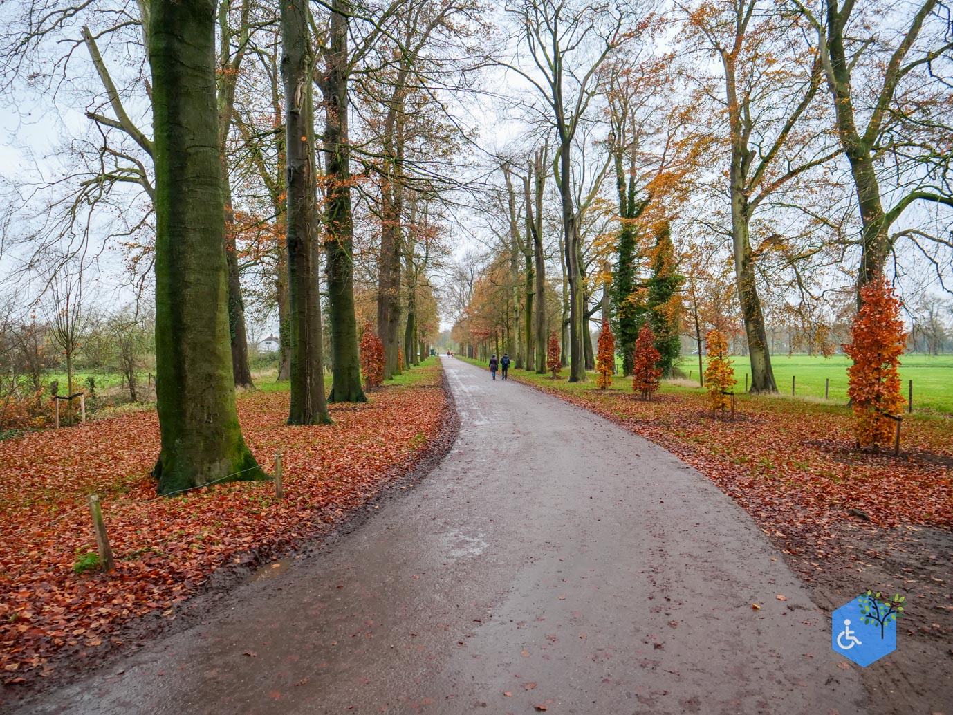 Bunnik_Bomenwandeling_Amelisweerd_28-11-2025-42