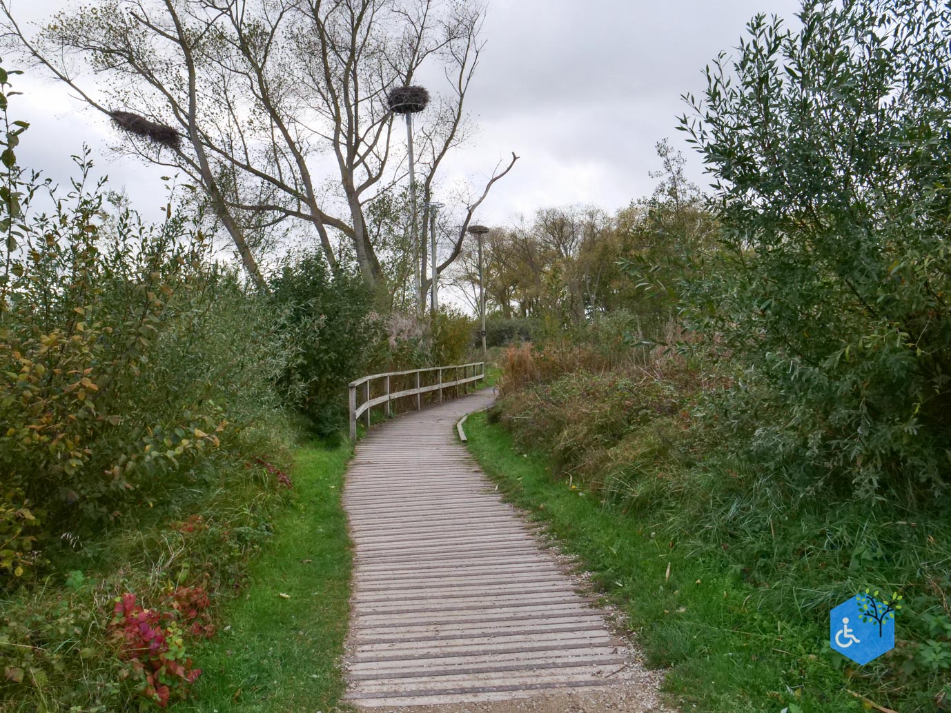 Knokke-Heist_Zwin_Natuurpark_24-10-2025-14