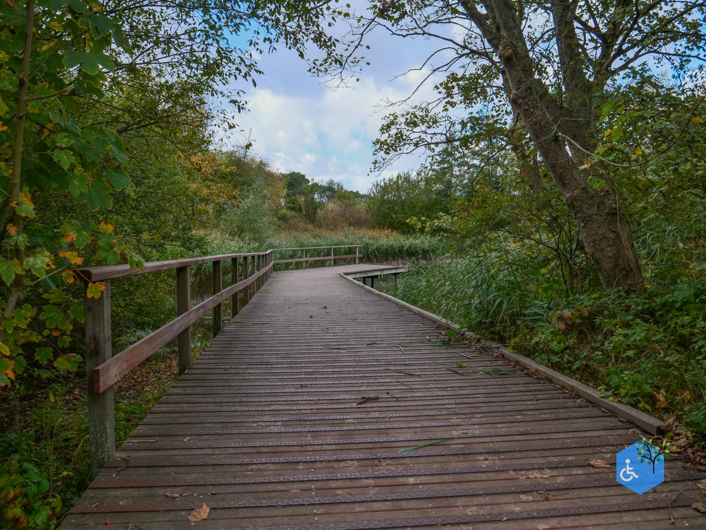 Knokke-Heist_Zwin_Natuurpark_24-10-2025-25