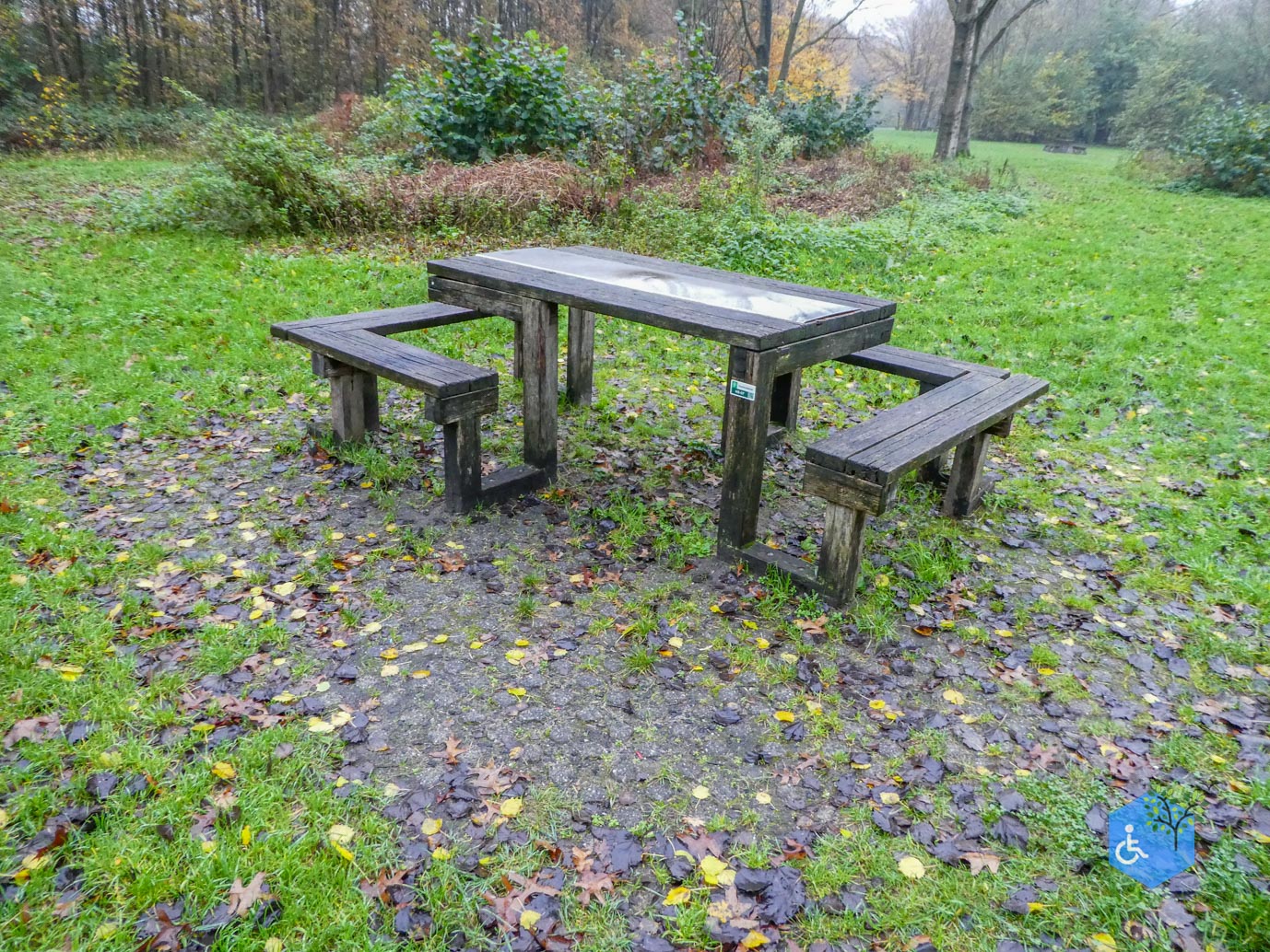 Utrecht_Ommetje_Gagelbos_14-11-2025-11