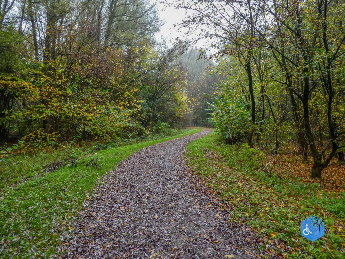 Utrecht_Ommetje_Gagelbos_14-11-2025-14