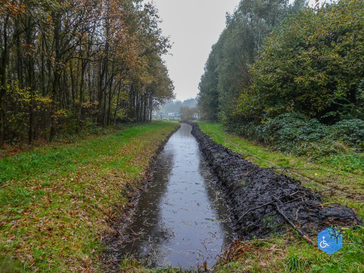 Utrecht_Ommetje_Gagelbos_14-11-2025-15