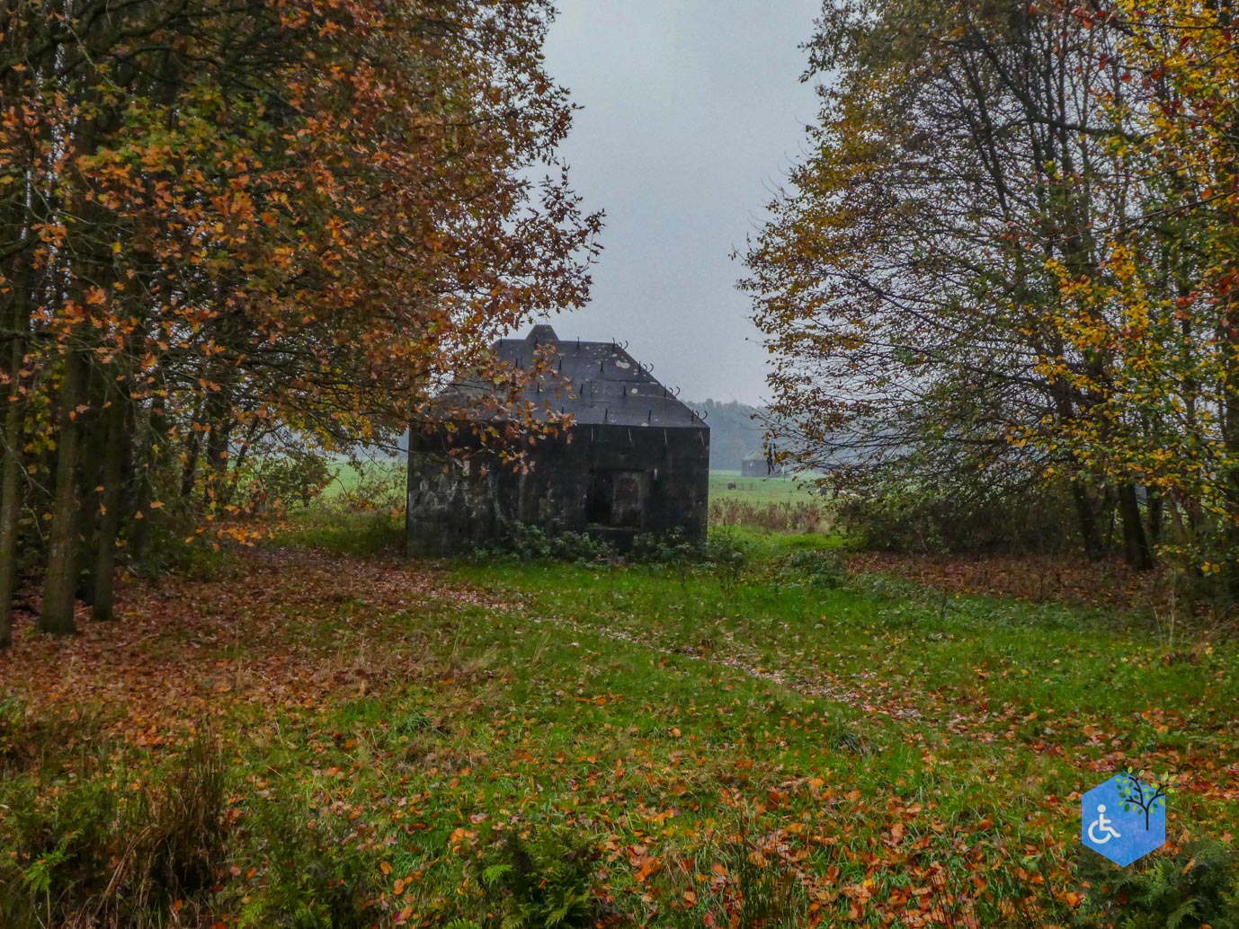 Utrecht_Ommetje_Gagelbos_14-11-2025-22