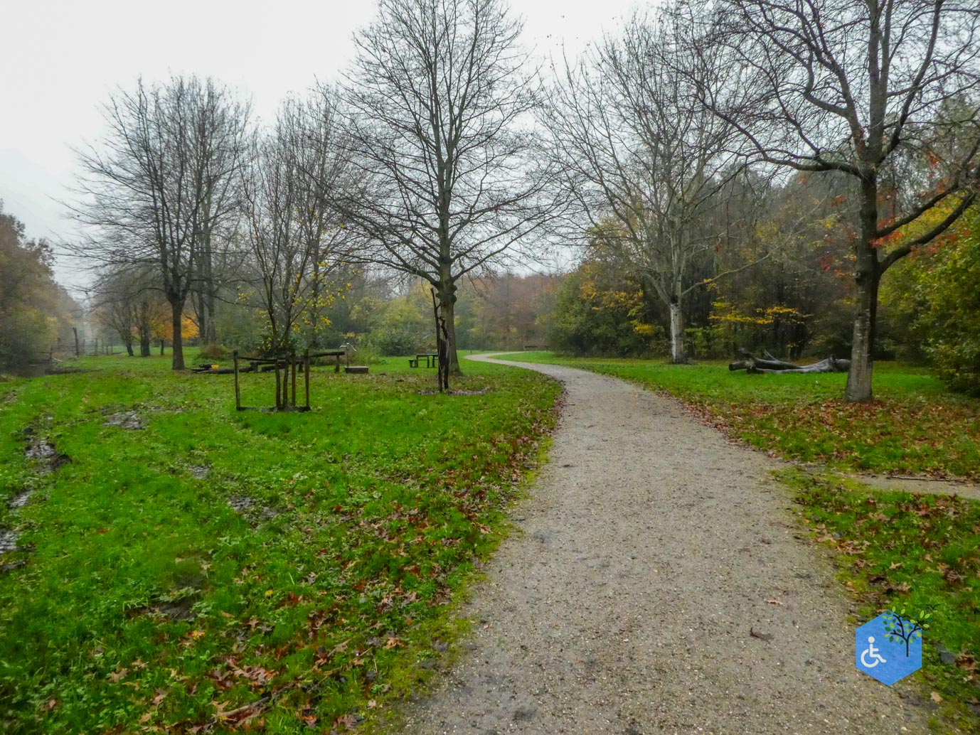 Utrecht_Ommetje_Gagelbos_14-11-2025-27