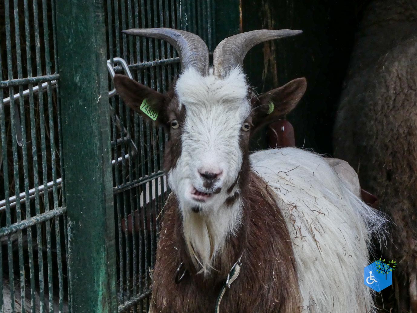 Utrecht_Stadsboerderij_Gagelsteede_14-11-2025-07