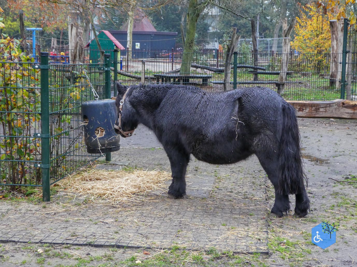 Utrecht_Stadsboerderij_Gagelsteede_14-11-2025-09