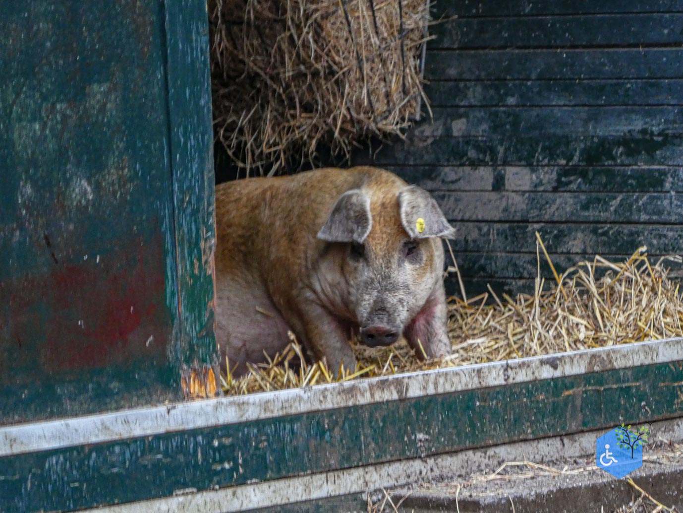 Utrecht_Stadsboerderij_Gagelsteede_14-11-2025-17