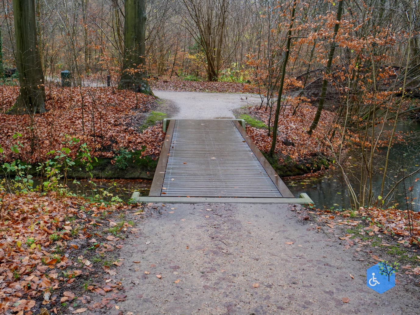 Bunnik_Landgoederenroute_28-11-2025-21