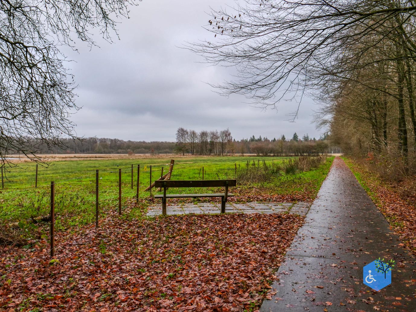 Echten_Familiepad_Ruinen_07-12-2025-07