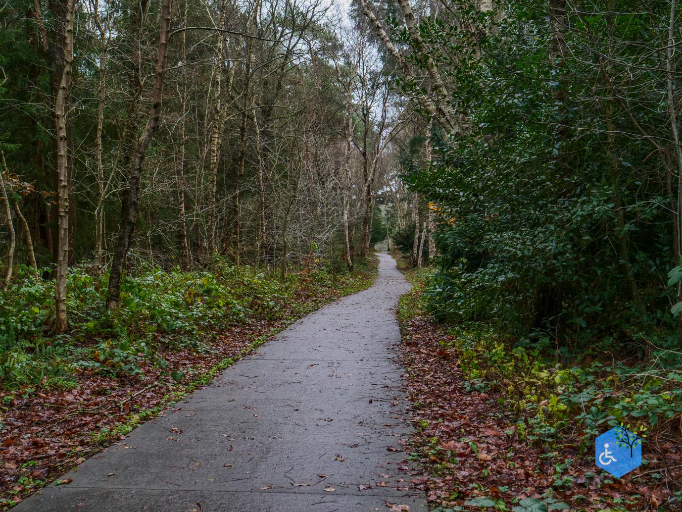 Echten_Familiepad_Ruinen_07-12-2025-24