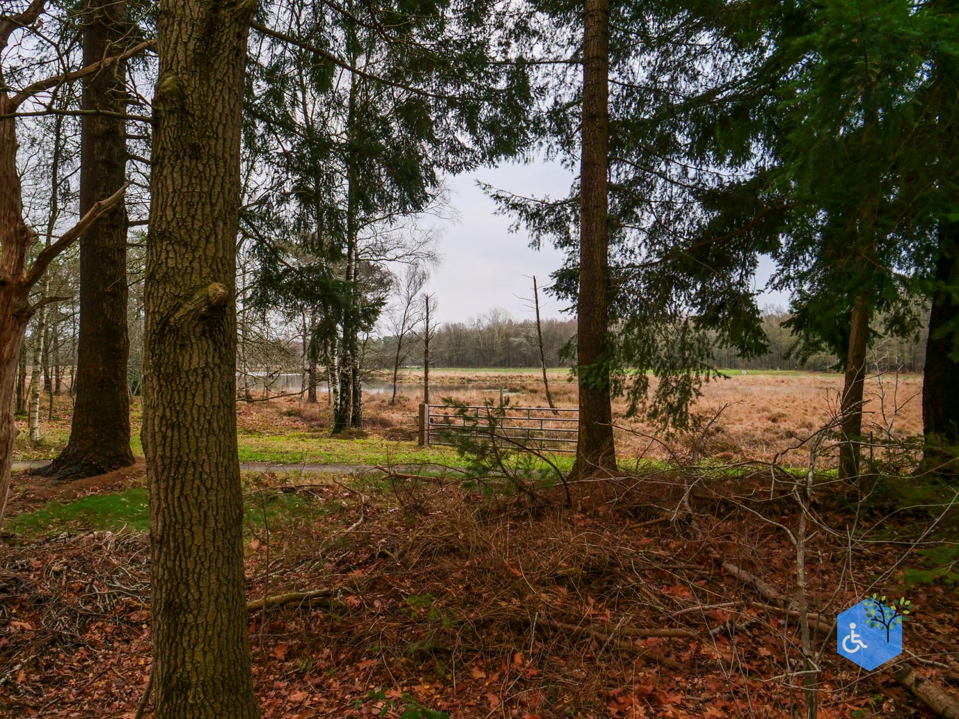 Echten_Familiepad_Ruinen_07-12-2025-30