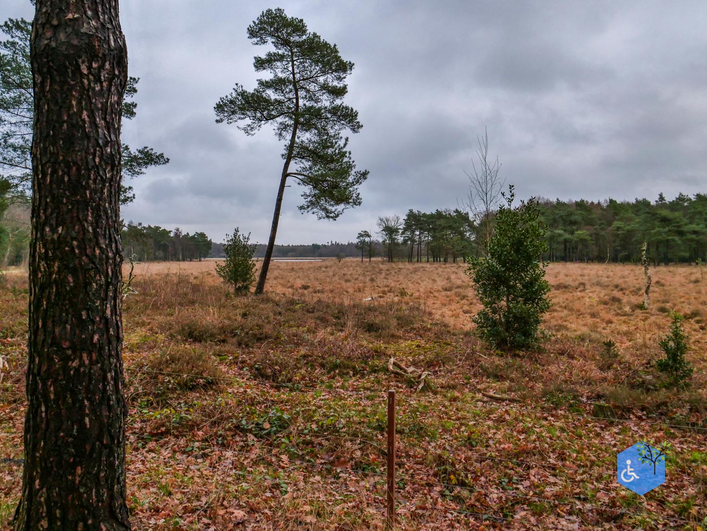 Echten_Familiepad_Ruinen_07-12-2025-35