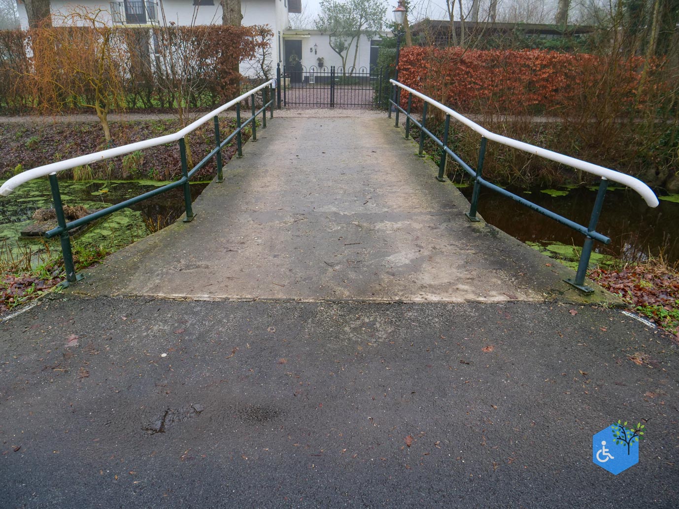 Raerd_Park_Jongemastate_18-01-2026-04