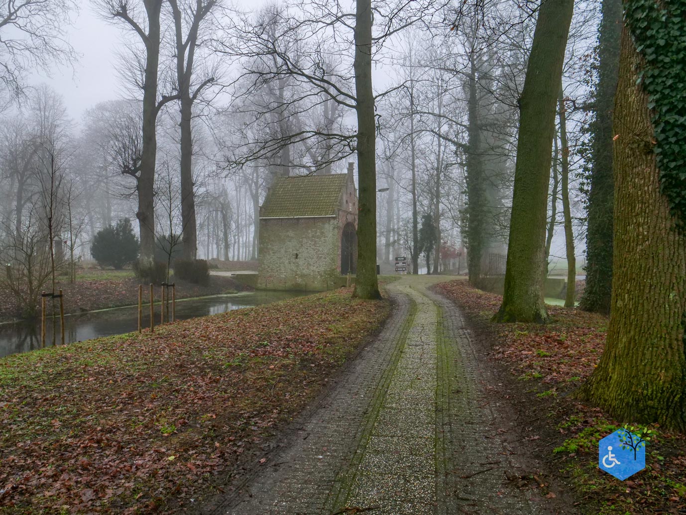 Raerd_Park_Jongemastate_18-01-2026-08