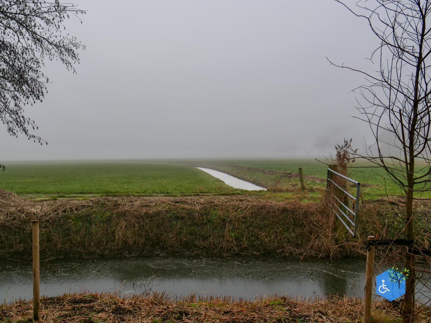 Raerd_Park_Jongemastate_18-01-2026-12