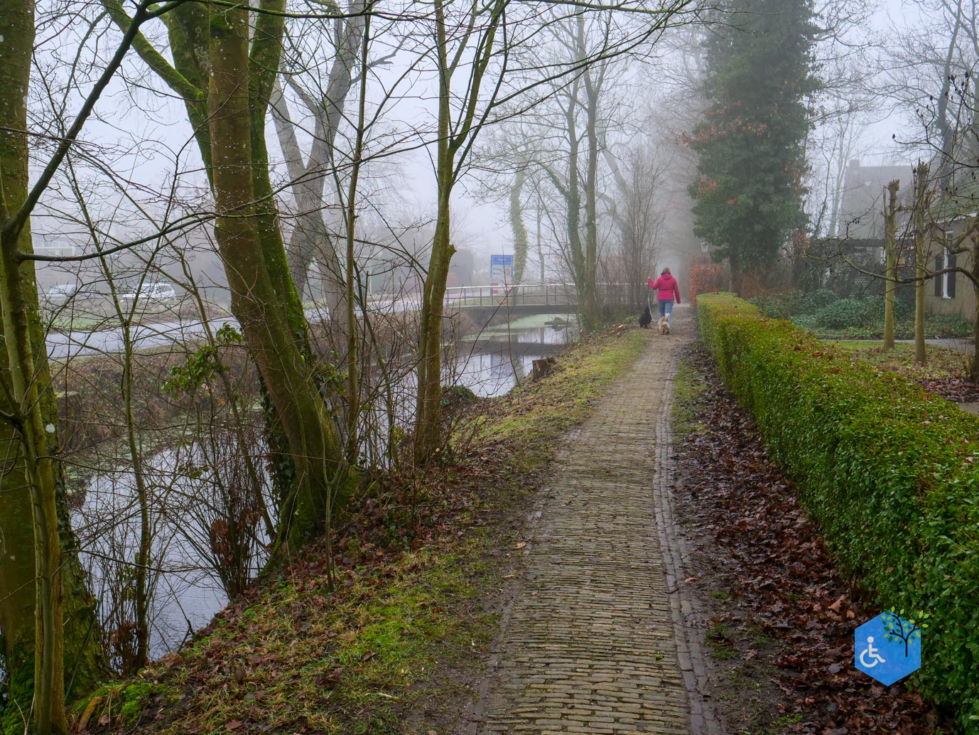 Raerd_Park_Jongemastate_18-01-2026-18